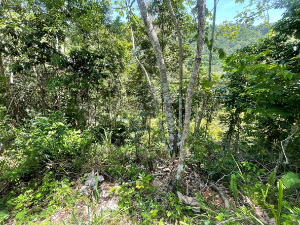 Third image of 20 Red Hills in Red Hills, St. Andrew, Jamaica - property is For Sale