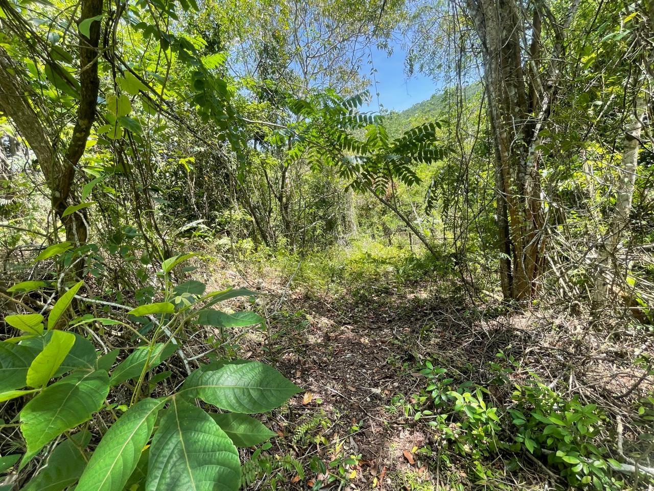 First image of 21 Red Hills in Red Hills, St. Andrew, Jamaica - property is For Sale