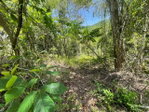 First image of 21 Red Hills in Red Hills, St. Andrew, Jamaica - property is For Sale