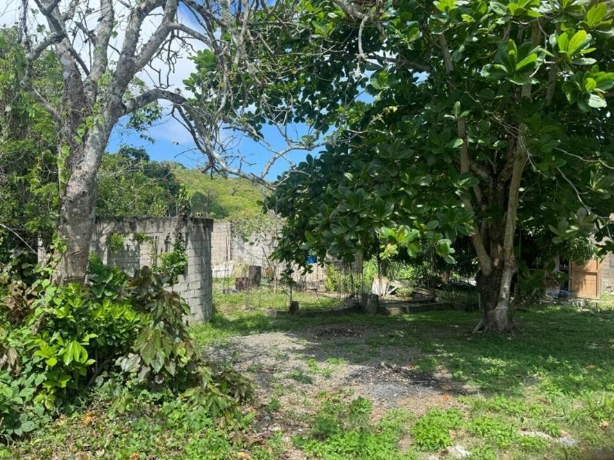 Third image of 21 Friendship in Islington, St. Mary, Jamaica - property is For Sale