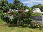 First image of Drapers, Portland in Drapers, Portland, Jamaica - property is For Sale