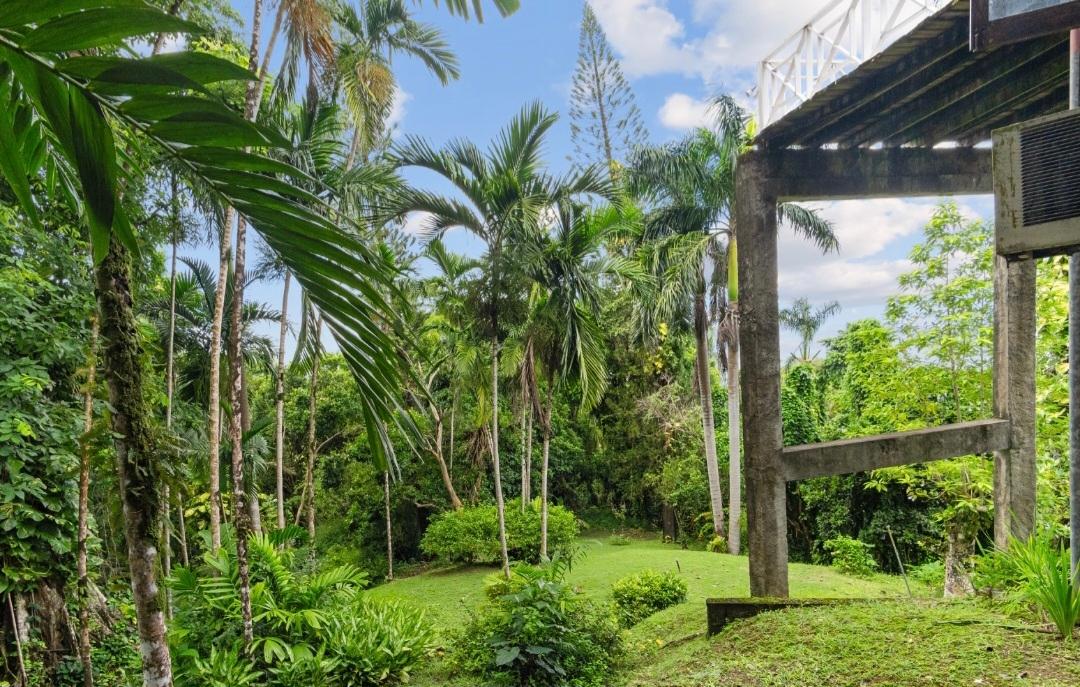 Fourth image of 105 San San Estate in SAN SAN, Portland, Jamaica - property is For Sale