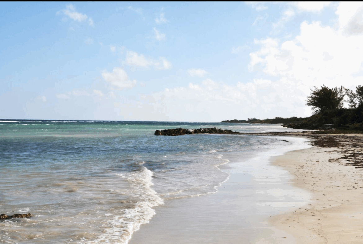 Thirteenth image of F10-seacastles Rosehall Main Road in Rose Hall, St. James, Jamaica - property is For Sale