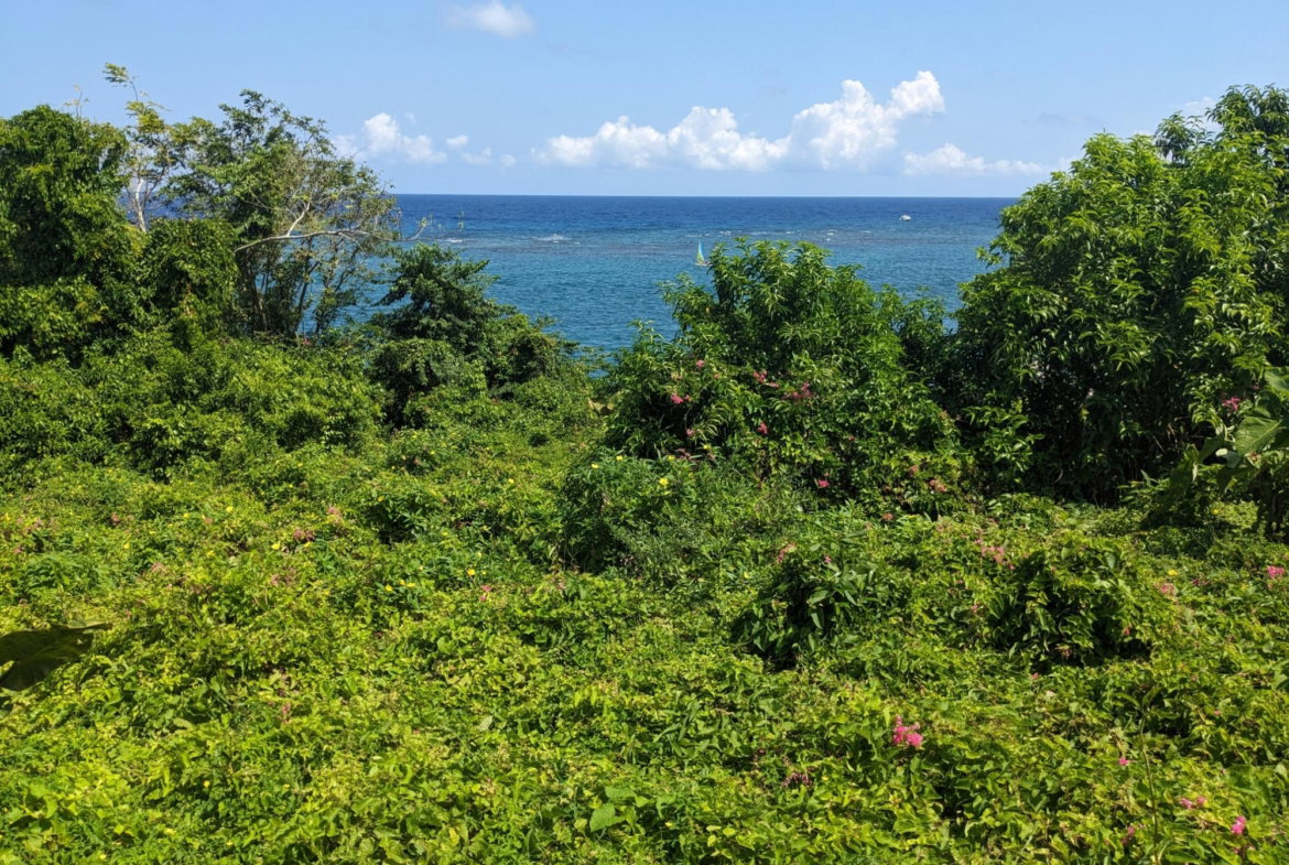 Second image of Salt Gut Boscobel st Mary in Boscobel, St. Mary, Jamaica - property is For Sale
