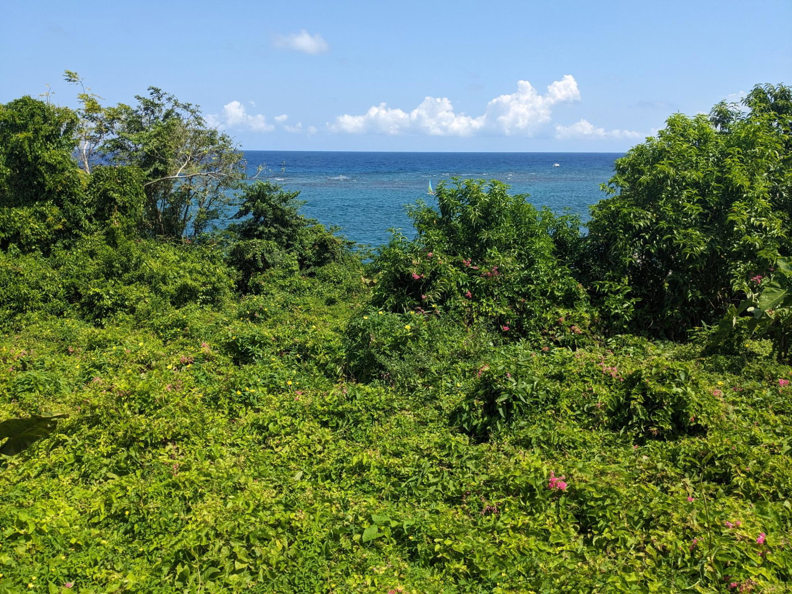 Second image of Salt Gut Boscobel st Mary in Boscobel, St. Mary, Jamaica - property is For Sale