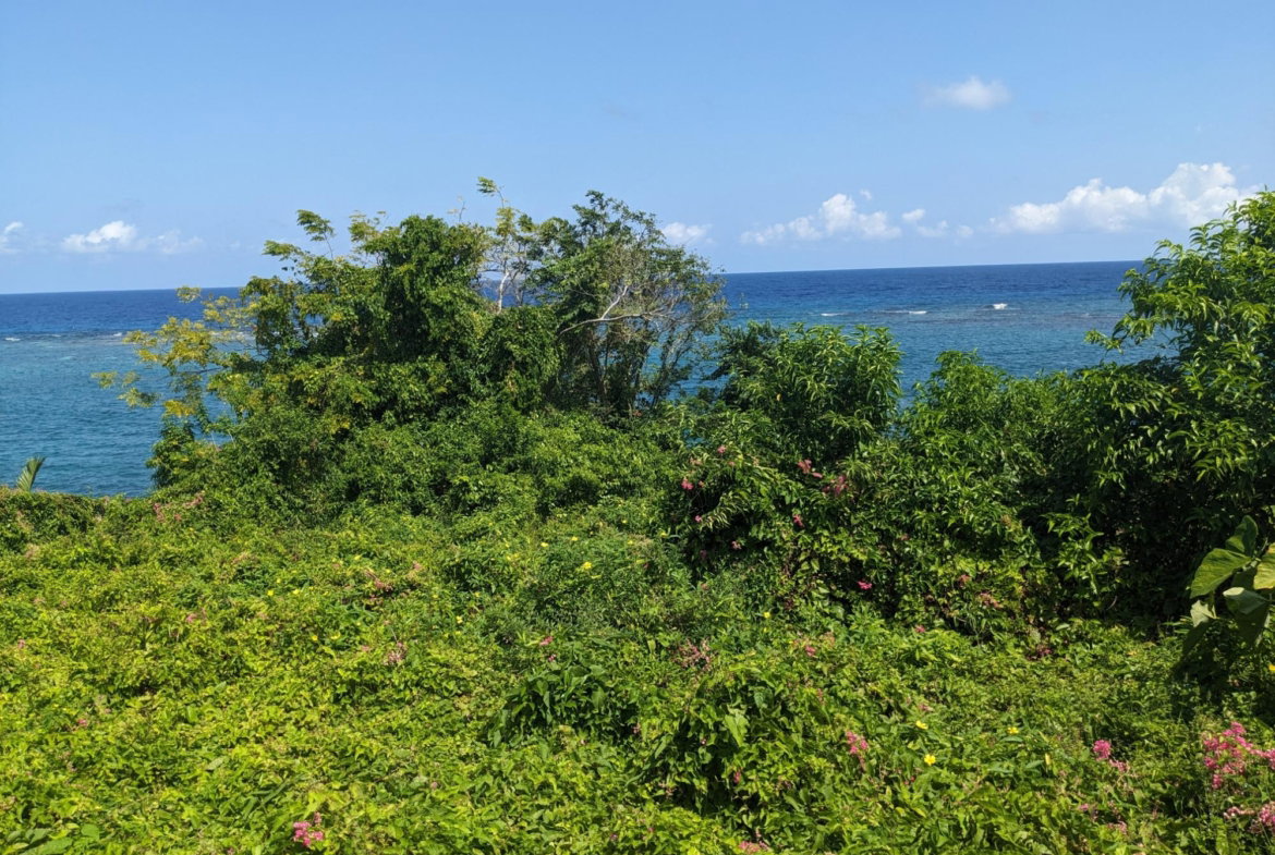 First image of Salt Gut Boscobel st Mary in Boscobel, St. Mary, Jamaica - property is For Sale