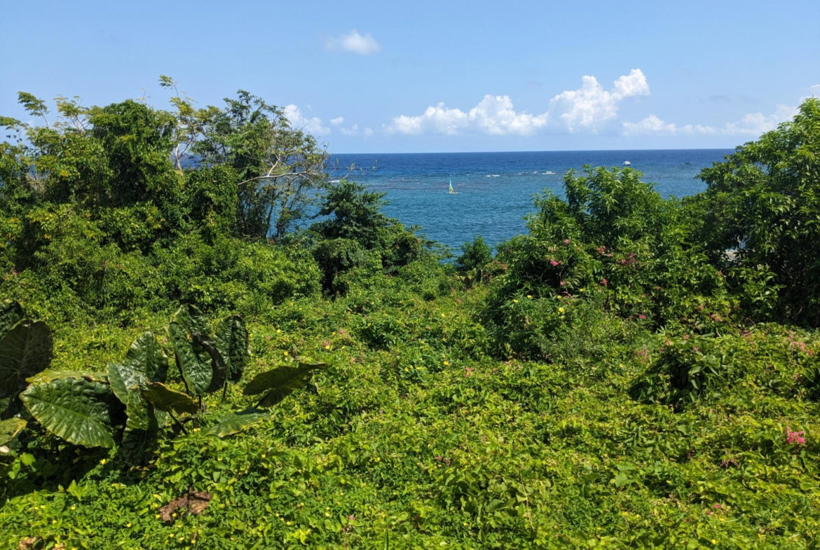 Third image of Salt Gut Boscobel st Mary in Boscobel, St. Mary, Jamaica - property is For Sale