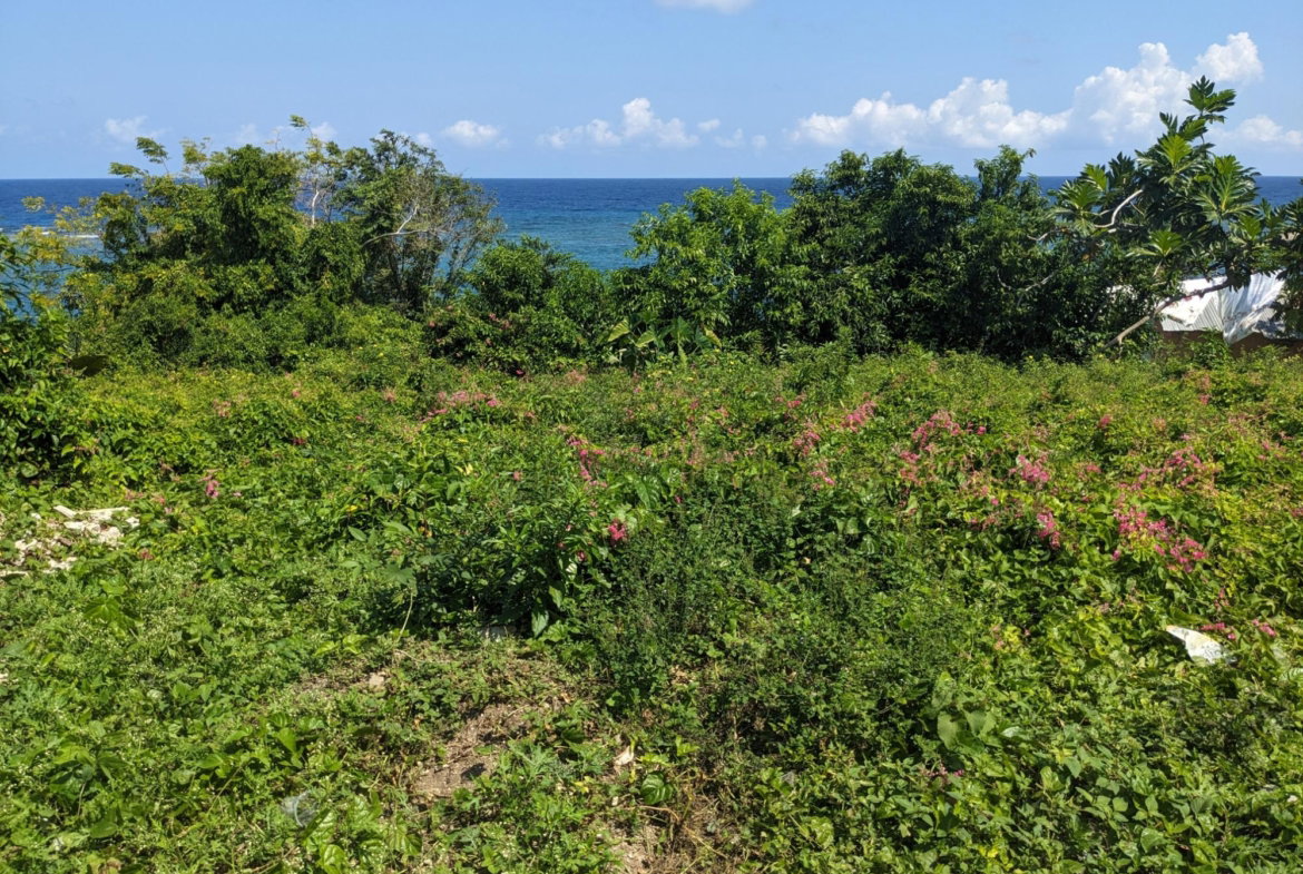 Fourth image of Salt Gut Boscobel st Mary in Boscobel, St. Mary, Jamaica - property is For Sale