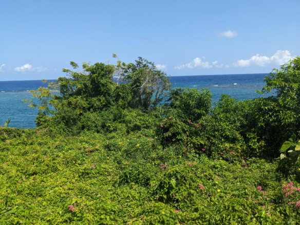 First image of Salt Gut Boscobel st Mary in Boscobel, St. Mary, Jamaica - property is For Sale