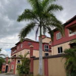 First image of 12-9-11 Washington Drive, Kingsto in Kingston 10, St. Andrew, Jamaica - property is For Sale
