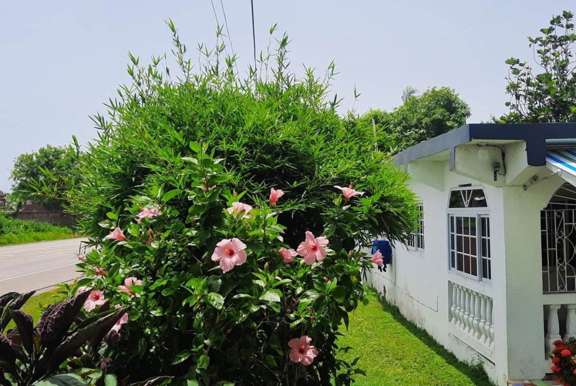 Third image of 87 Wiltshire Crescent in Falmouth, Trelawny, Jamaica - property is For Rent