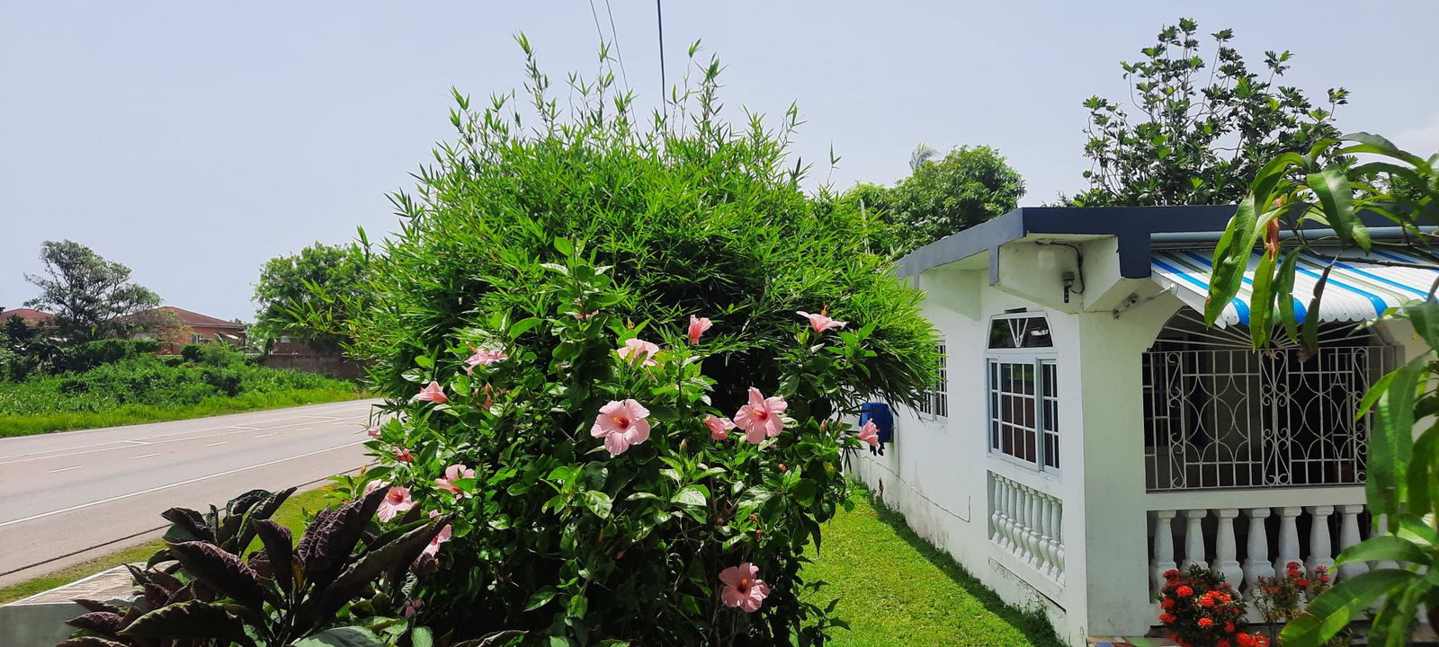 Spacious-2-Bedroom-Apartment-for-Rent-in-Wiltshire-Trelawny-Near-Montego-Bay Third image of 87 Wiltshire Crescent in Falmouth, Trelawny, Jamaica - property is For Rent