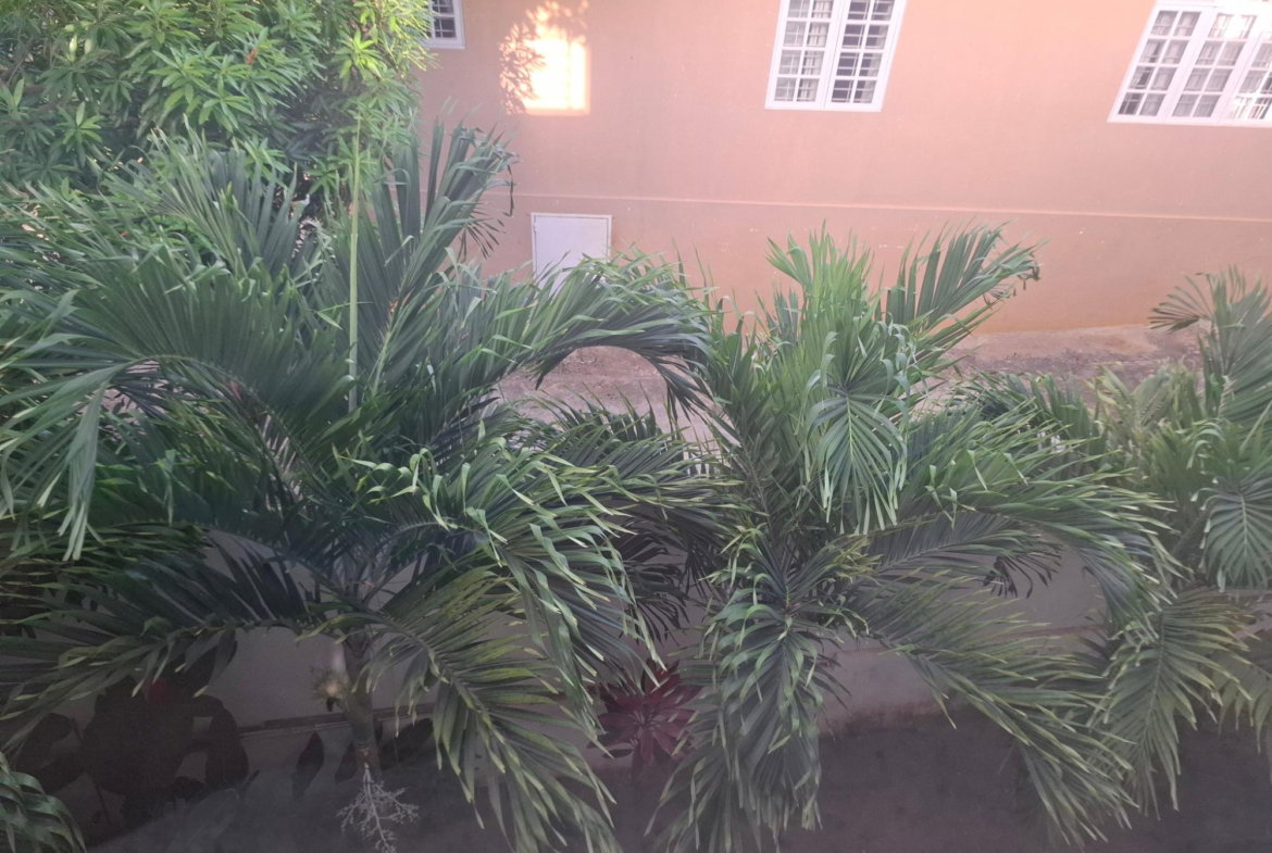 Nineteenth image of 6 Happy Grove rd in Kingston 19, St. Andrew, Jamaica - property is For Sale