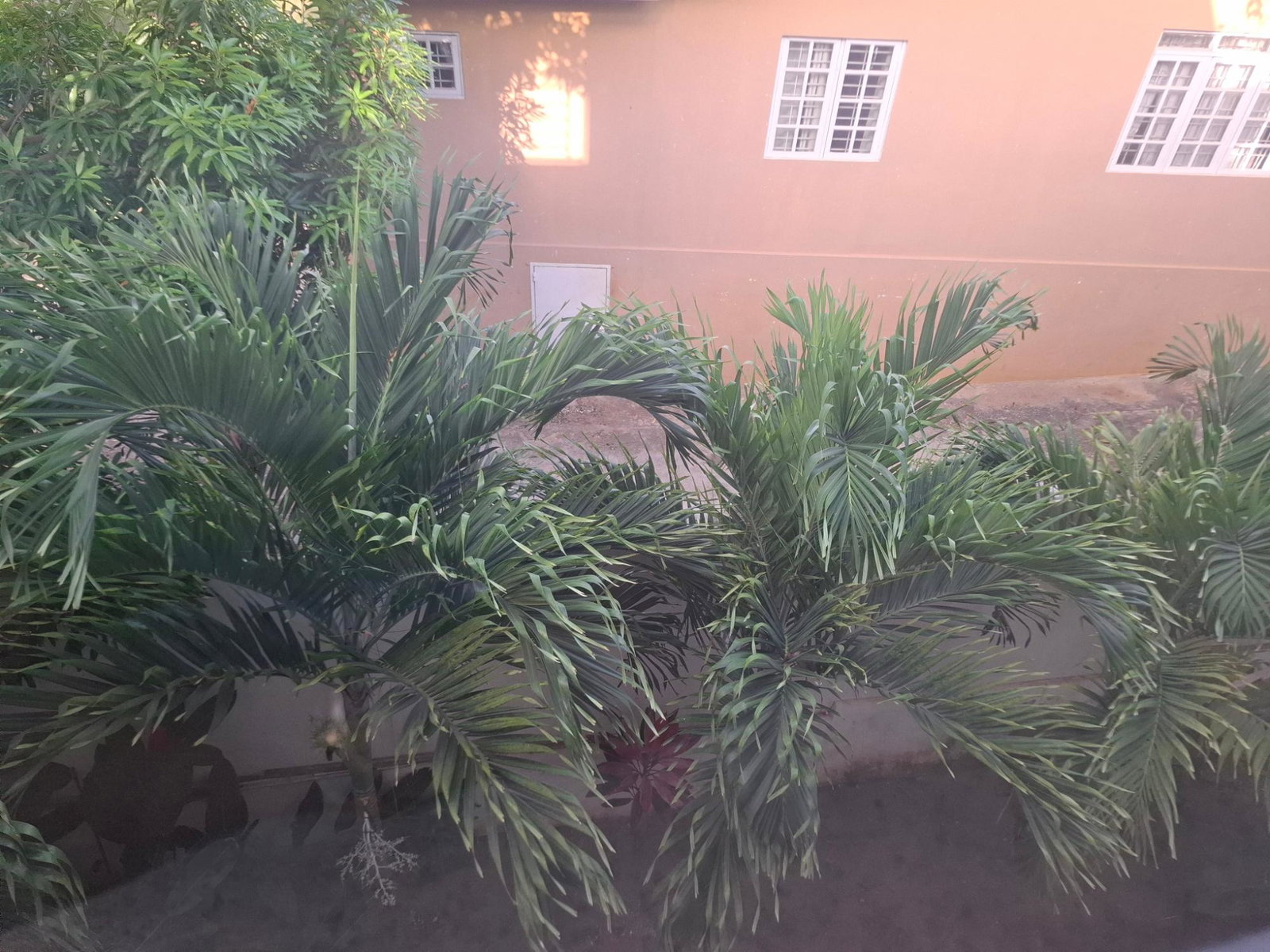 Nineteenth image of 6 Happy Grove rd in Kingston 19, St. Andrew, Jamaica - property is For Sale
