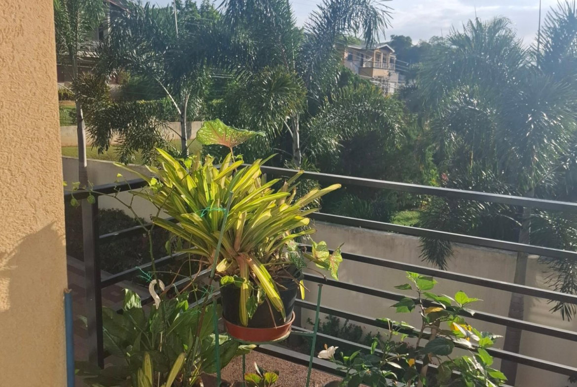 Fourth image of 6 Happy Grove rd in Kingston 19, St. Andrew, Jamaica - property is For Sale