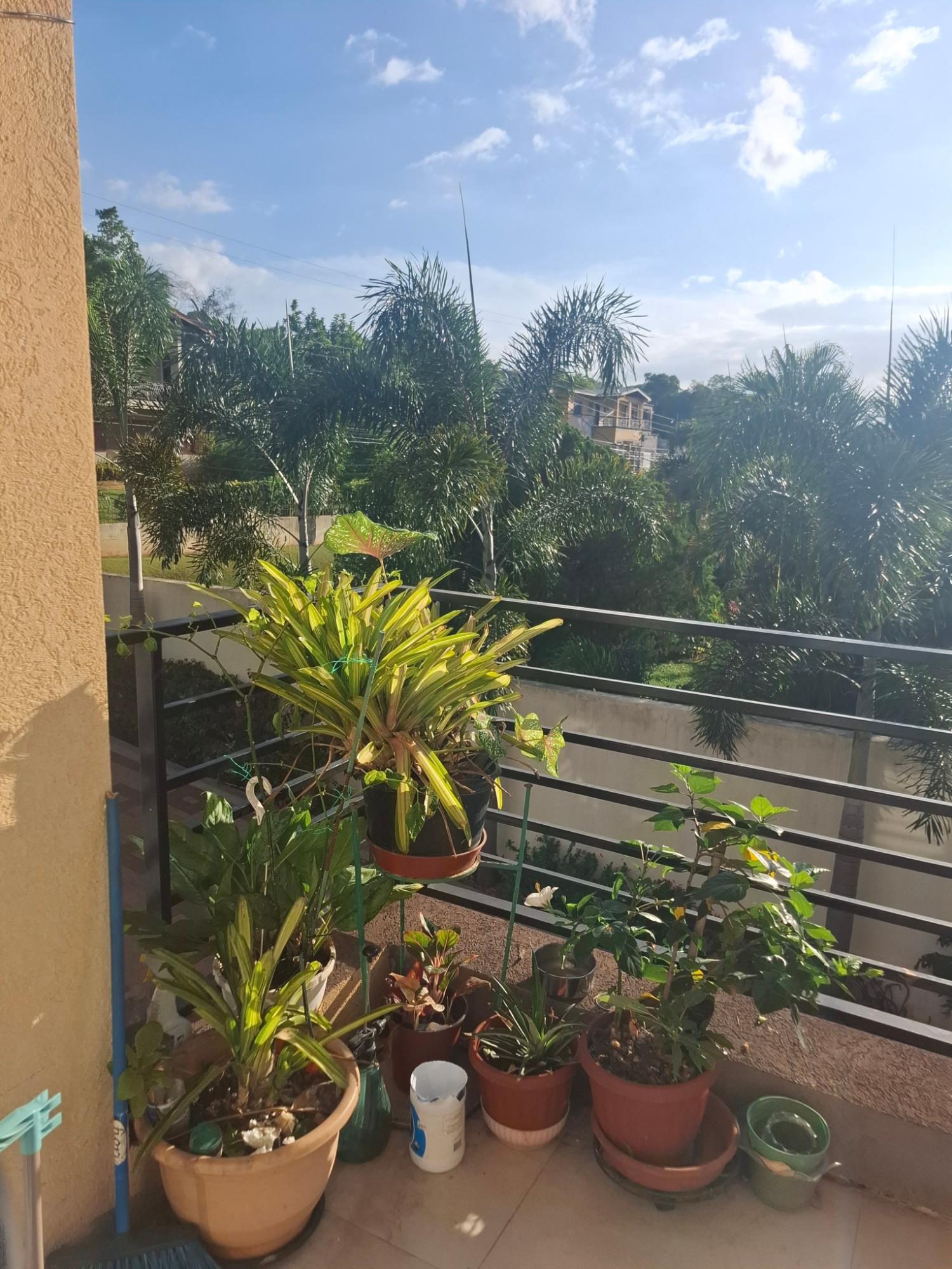 Fourth image of 6 Happy Grove rd in Kingston 19, St. Andrew, Jamaica - property is For Sale