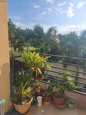Fourth image of 6 Happy Grove rd in Kingston 19, St. Andrew, Jamaica - property is For Sale