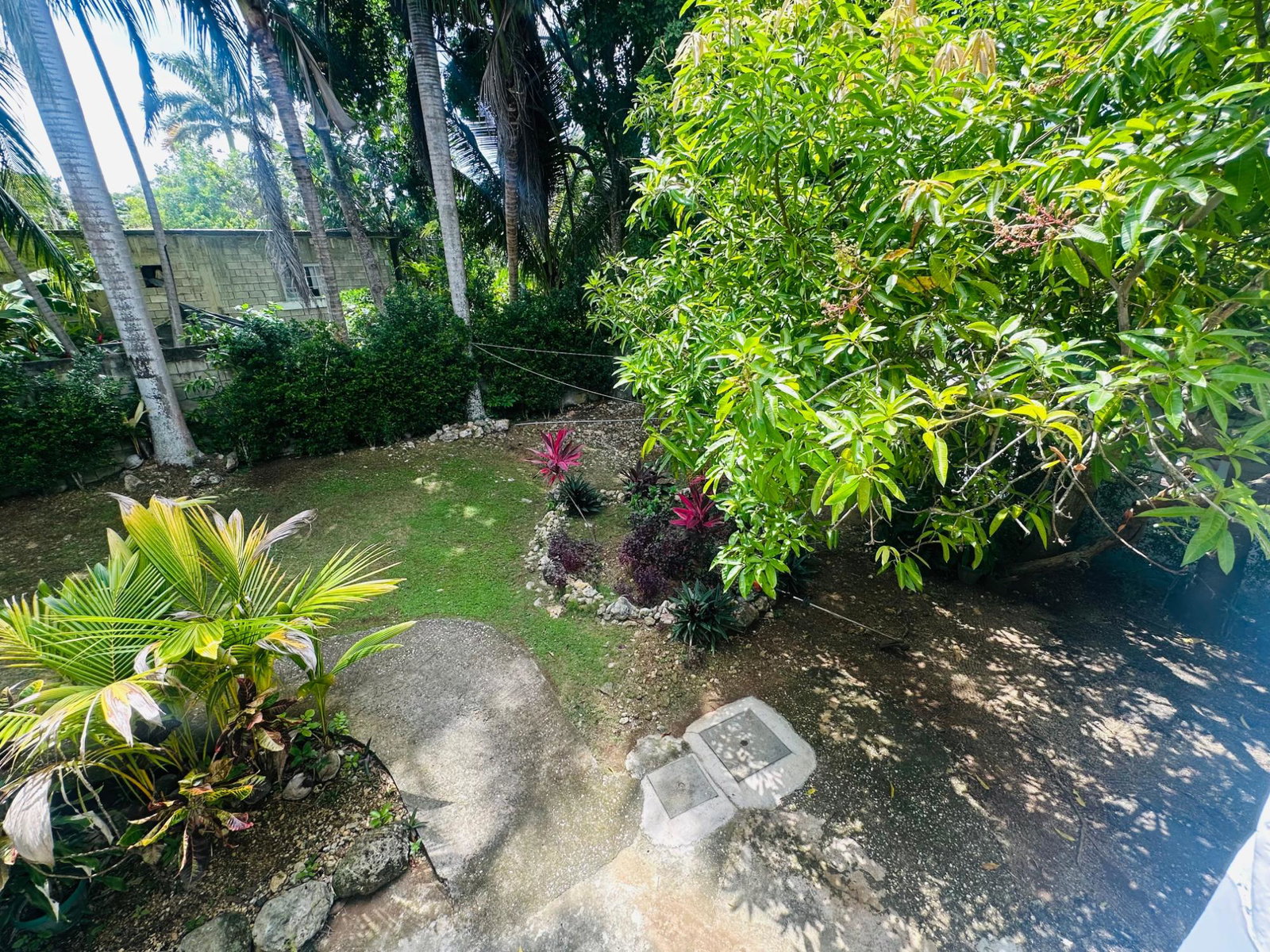 Nineteenth image of 11 Unity Hall in Unity Hall, St. James, Jamaica - property is For Rent