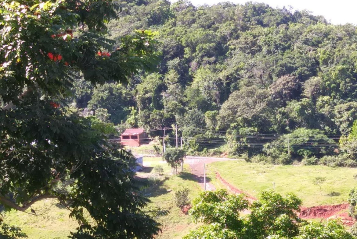 Twenty-Seventh image of Cedars Mocho in Mocho, Clarendon, Jamaica - property is For Sale