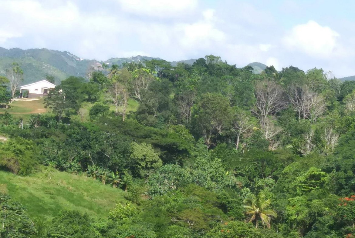 Twenty-Eighth image of Cedars Mocho in Mocho, Clarendon, Jamaica - property is For Sale