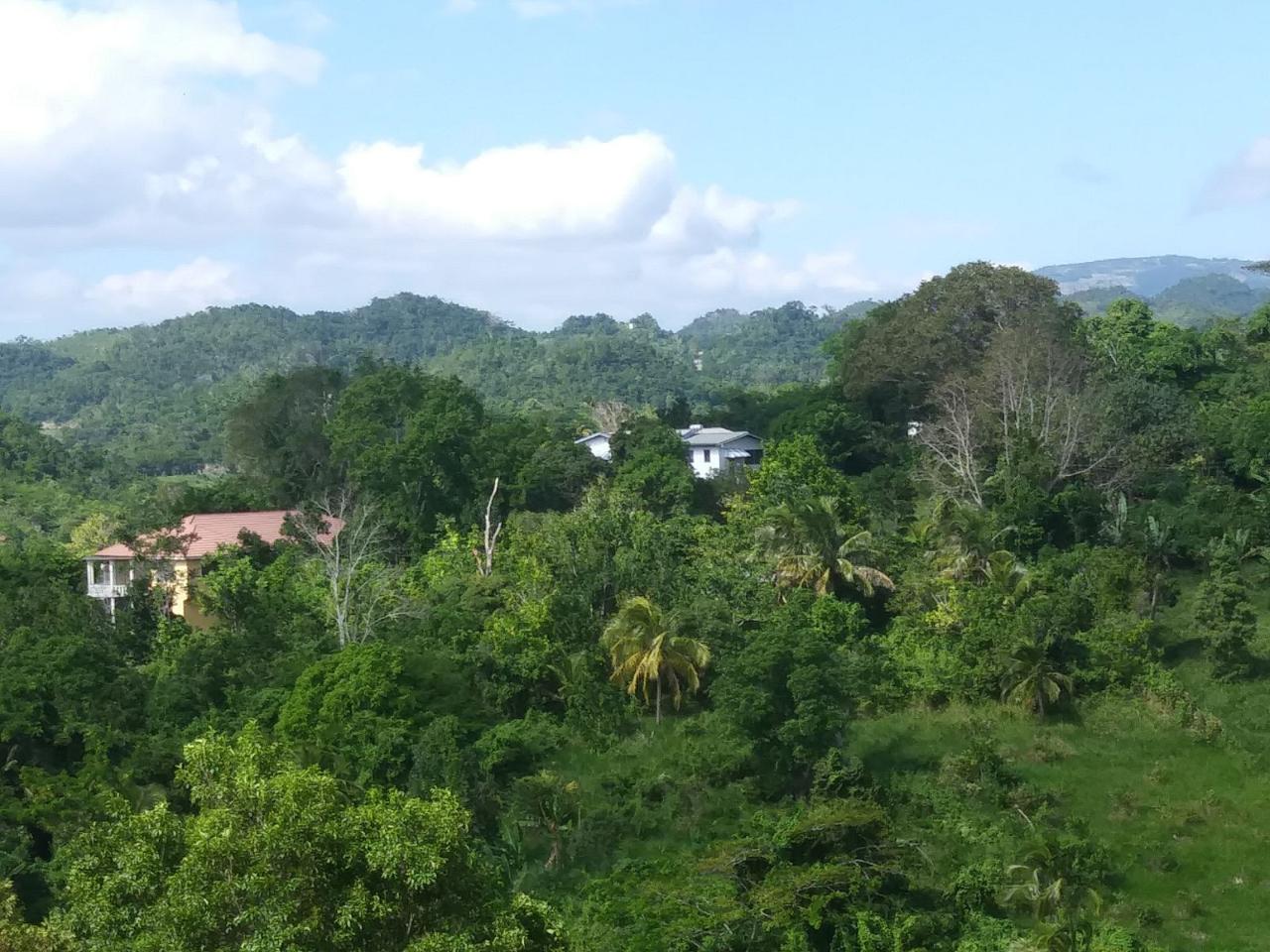 Twenty-Ninth image of Cedars Mocho in Mocho, Clarendon, Jamaica - property is For Sale