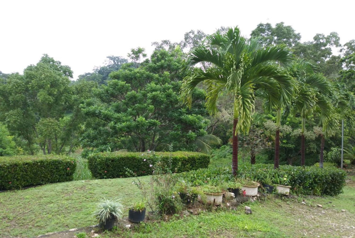 Sixth image of Cedars Mocho in Mocho, Clarendon, Jamaica - property is For Sale