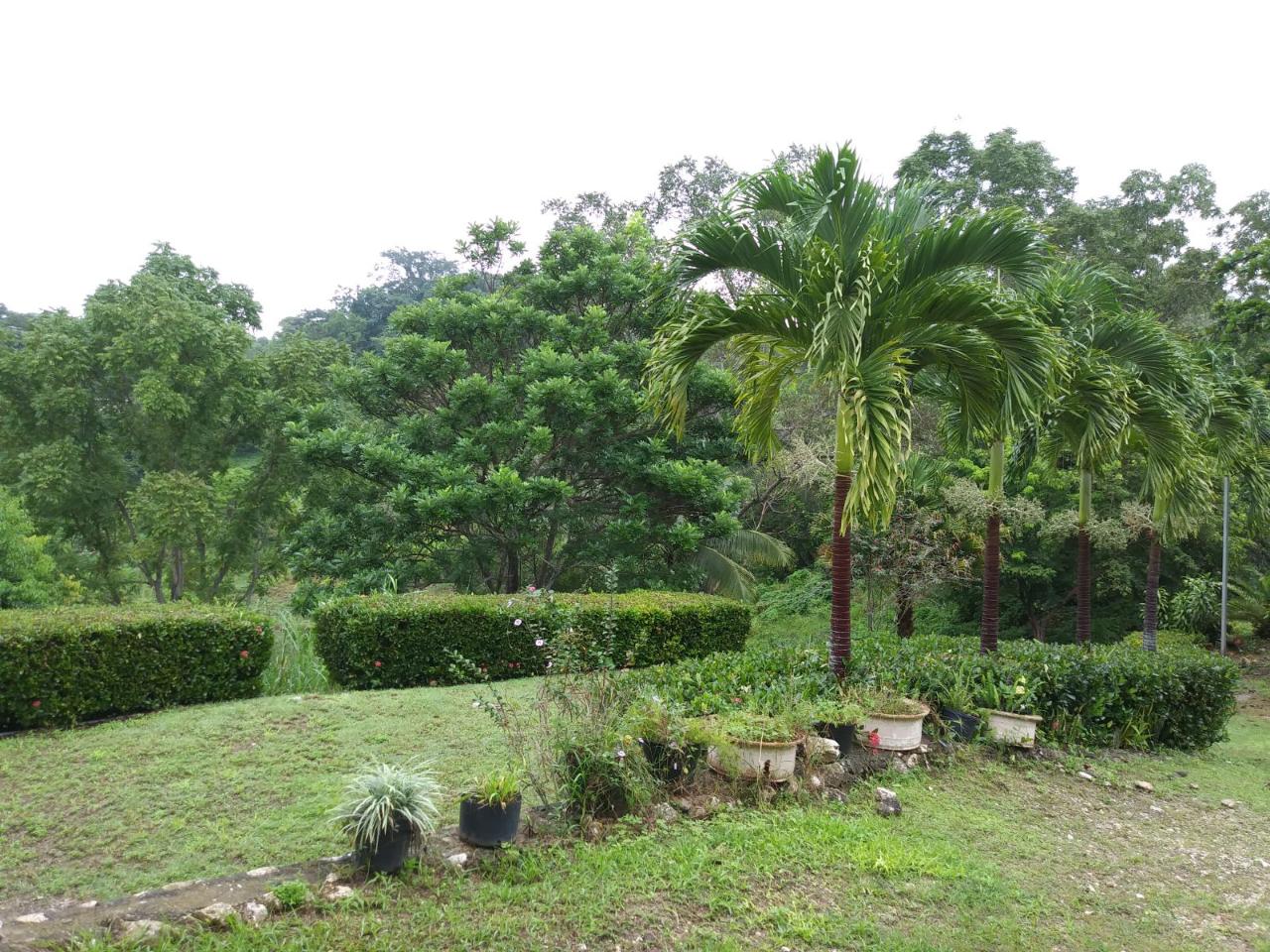 Sixth image of Cedars Mocho in Mocho, Clarendon, Jamaica - property is For Sale