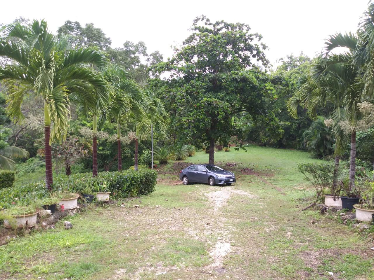Seventh image of Cedars Mocho in Mocho, Clarendon, Jamaica - property is For Sale