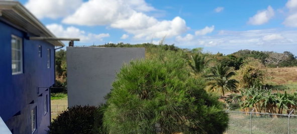 Tenth image of Part Greenvale Mile Gully in Mandeville, Manchester, Jamaica - property is For Sale