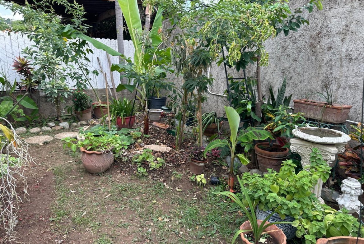 Nineteenth image of 8-15-17 Seymour Avenue in Kingston 6, St. Andrew, Jamaica - property is For Sale