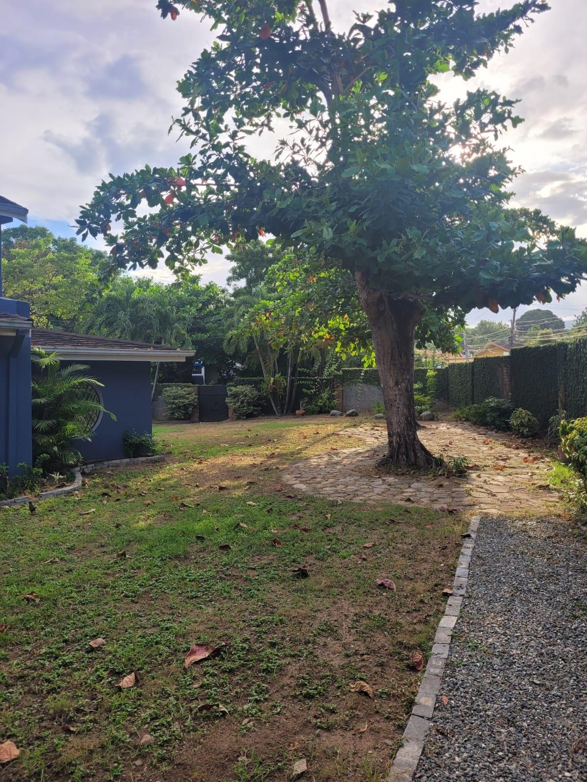 Eighth image of 5a Dillsbury Close in Kingston 6, St. Andrew, Jamaica - property is For Rent