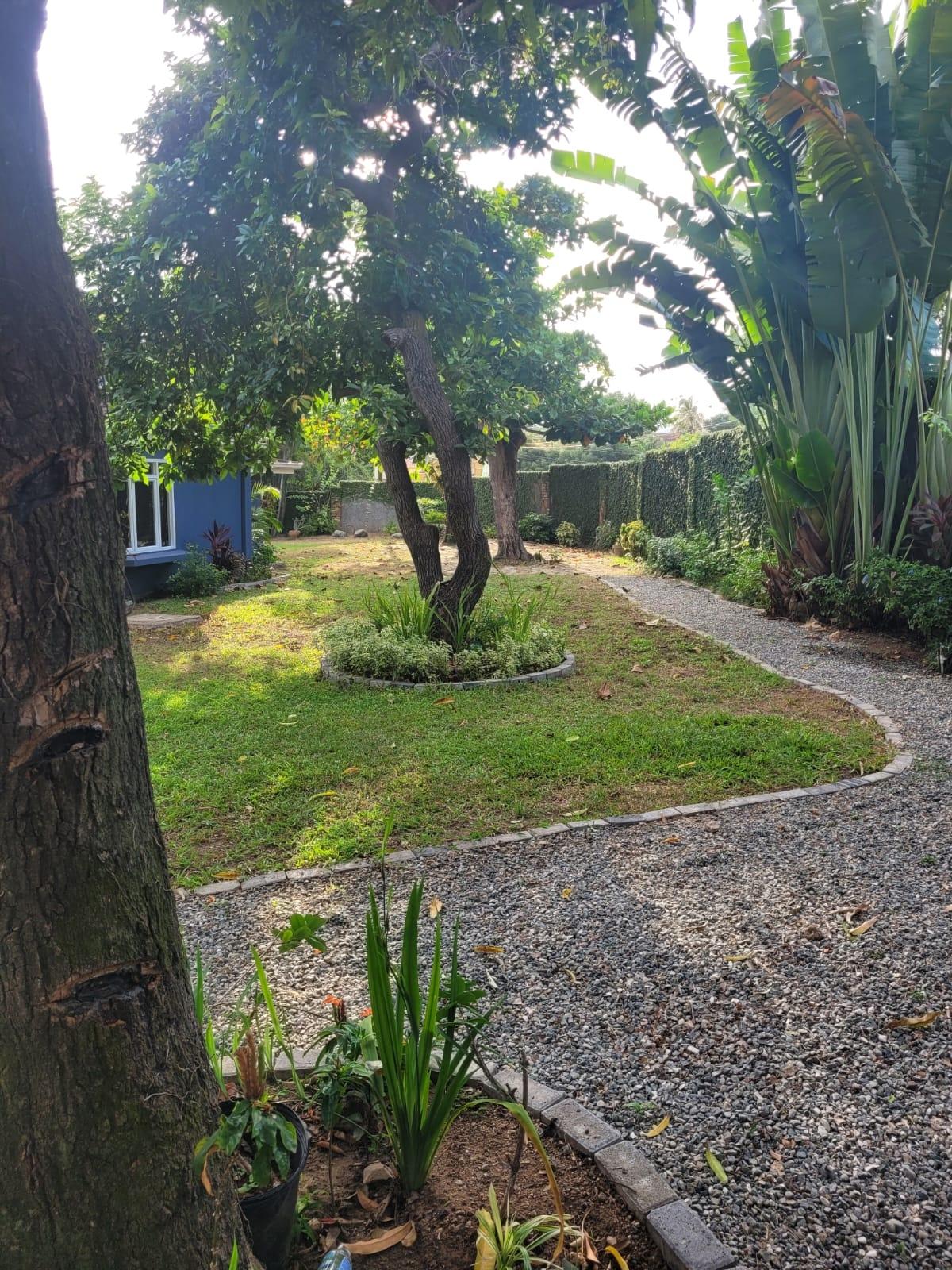 Tenth image of 5a Dillsbury Close in Kingston 6, St. Andrew, Jamaica - property is For Rent