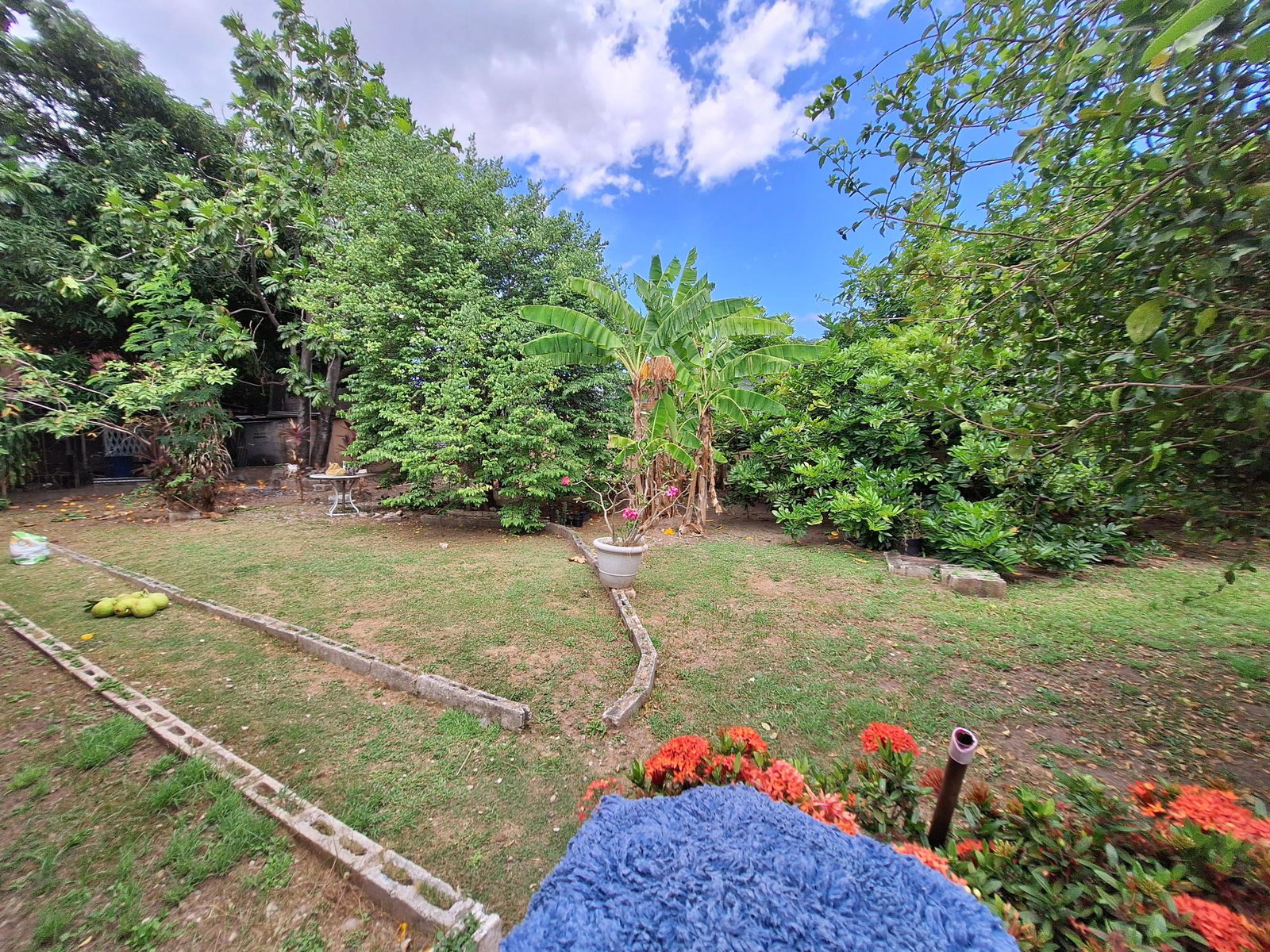 Sixteenth image of 17 Sunnyfield Drive, Havenda in Kingston 19, St. Andrew, Jamaica - property is For Sale