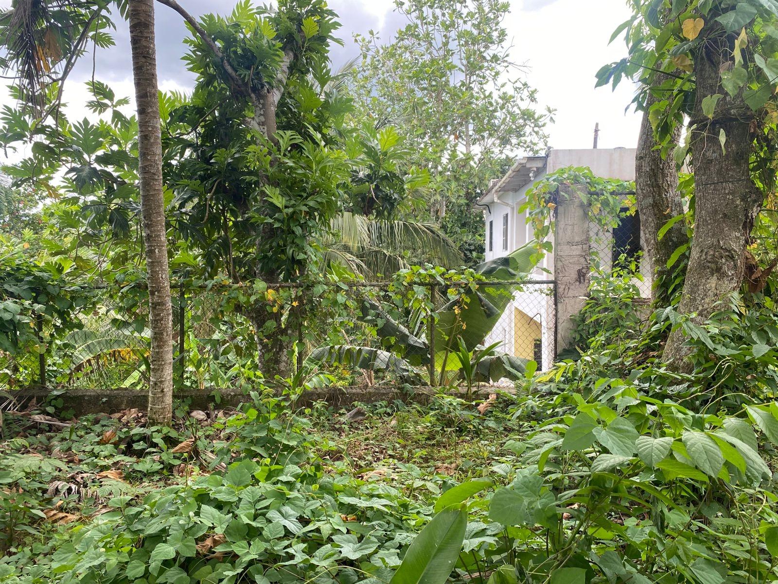 Sixth image of 15 Mickleton Heights in Linstead, St. Catherine, Jamaica - property is For Sale