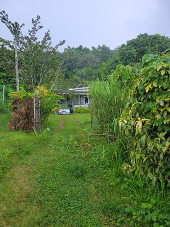Second image of Joyces Road in Golden Spring P.O., St. Andrew, Jamaica - property is For Sale