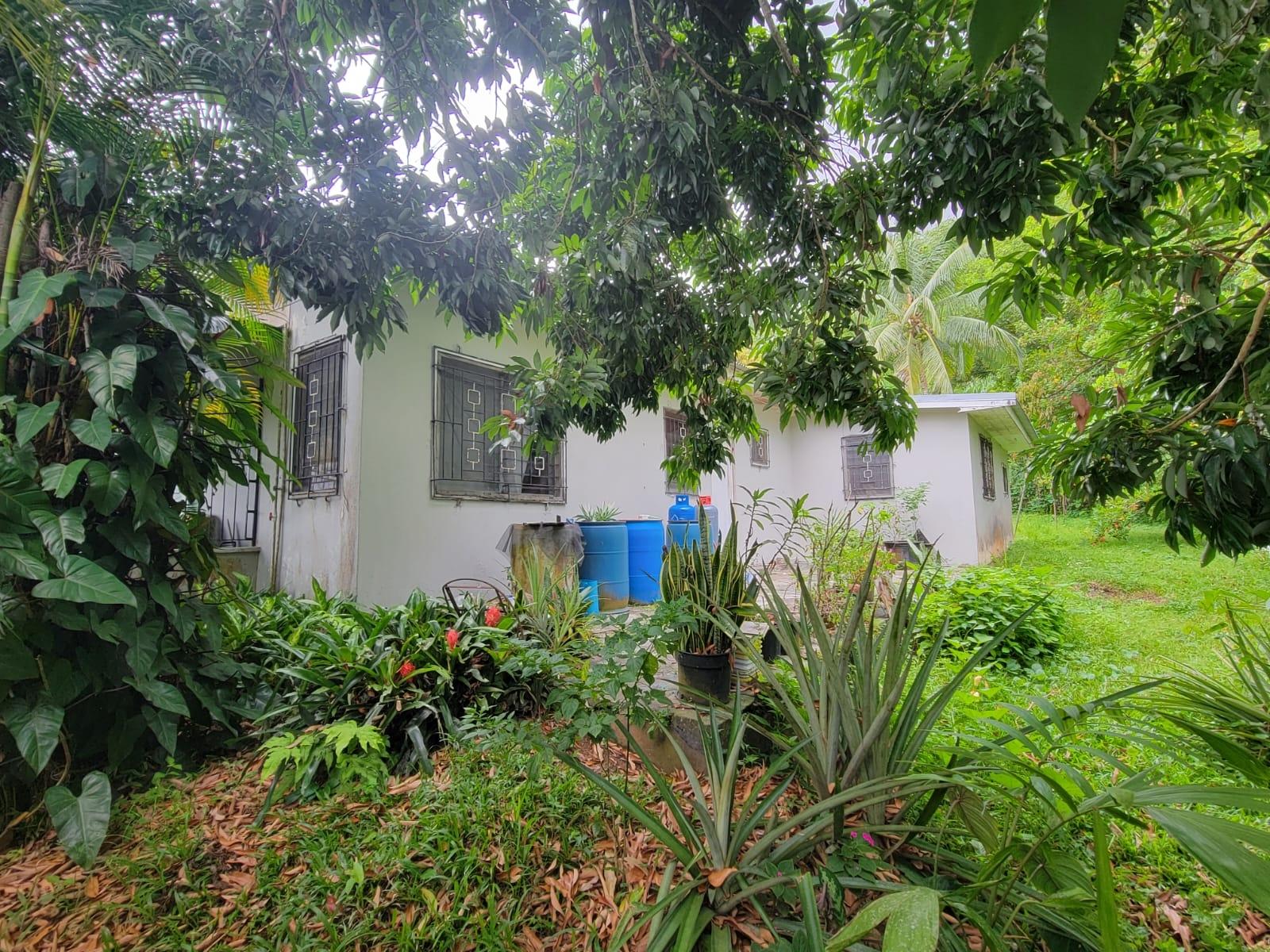 Third image of Joyces Road in Golden Spring P.O., St. Andrew, Jamaica - property is For Sale