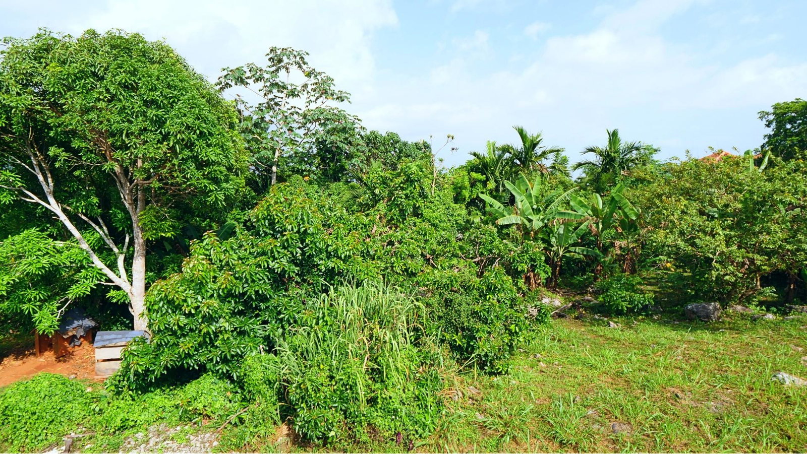 Twenty-Fourth image of 16 Capricorn Terrace in Kingston 19, St. Andrew, Jamaica - property is For Sale