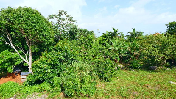 Twenty-Fourth image of 16 Capricorn Terrace in Kingston 19, St. Andrew, Jamaica - property is For Sale