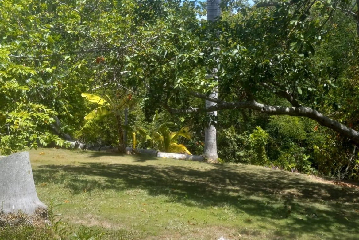 Twenty-Sixth image of 93 Edinburgh Avenue, Coral g in Montego Bay, St. James, Jamaica - property is For Sale