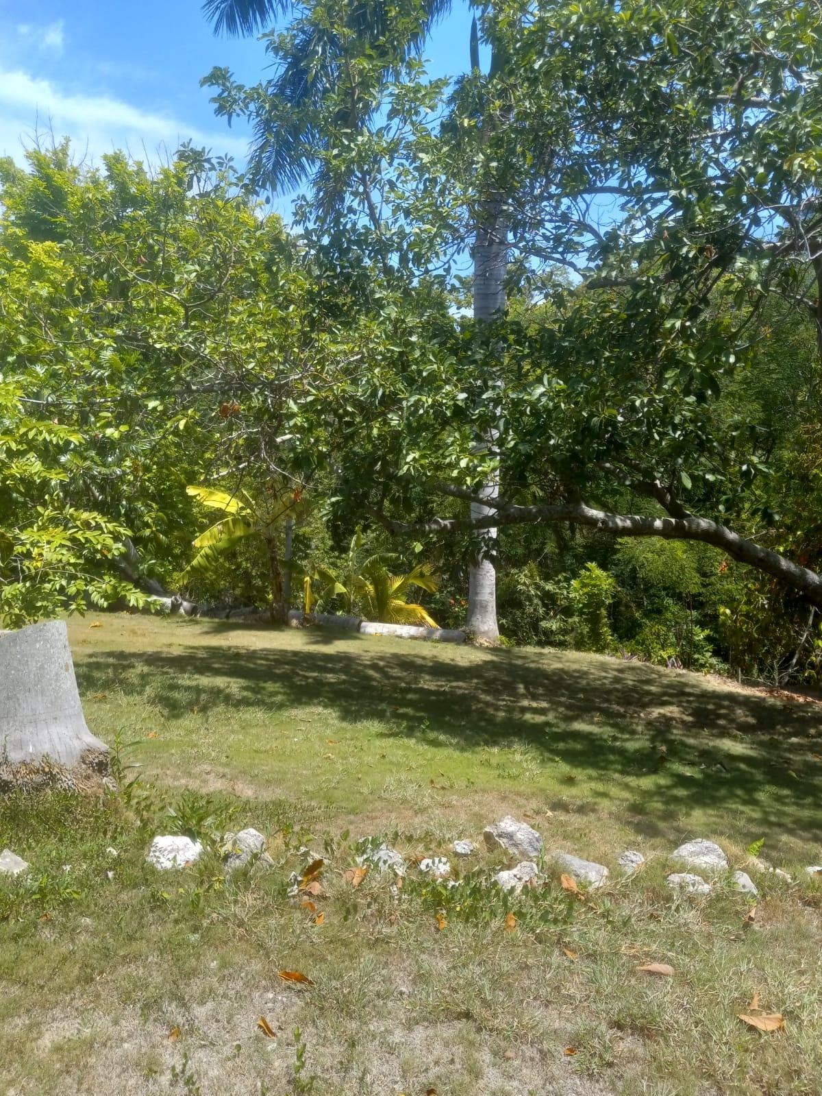 Twenty-Sixth image of 93 Edinburgh Avenue, Coral g in Montego Bay, St. James, Jamaica - property is For Sale