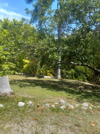 Twenty-Sixth image of 93 Edinburgh Avenue, Coral g in Montego Bay, St. James, Jamaica - property is For Sale