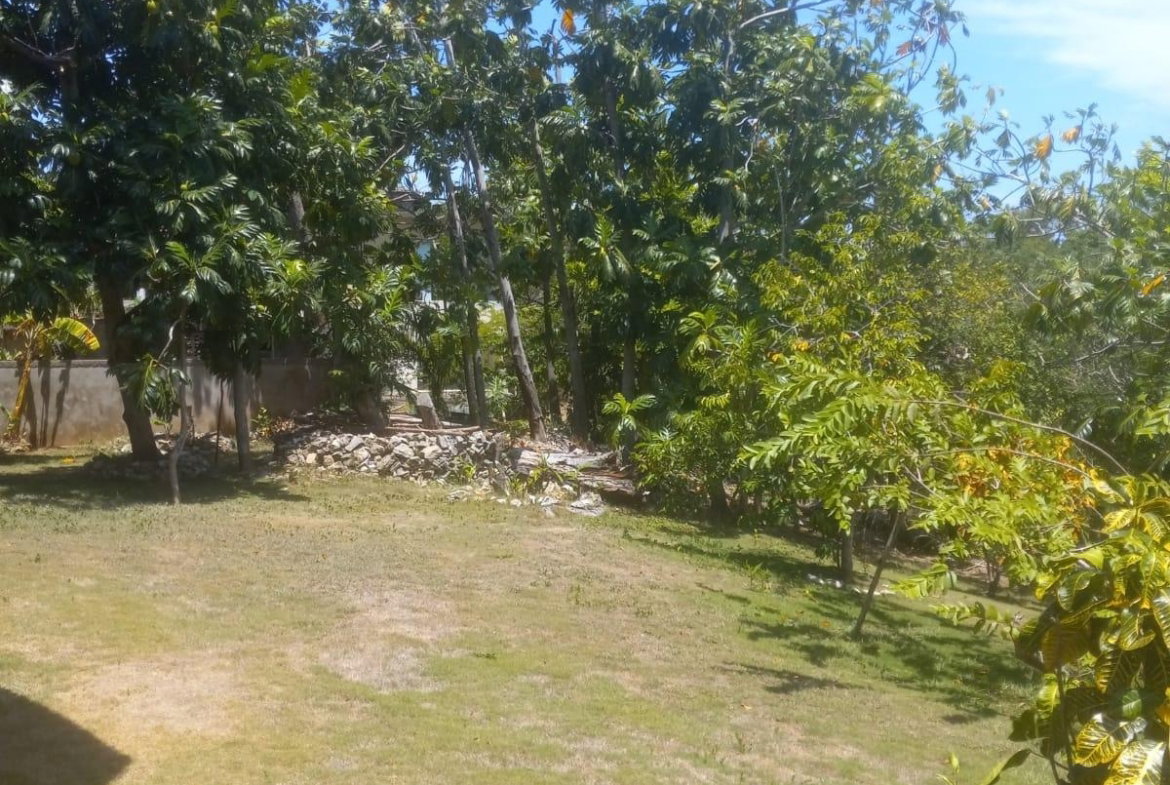 Twenty-Seventh image of 93 Edinburgh Avenue, Coral g in Montego Bay, St. James, Jamaica - property is For Sale