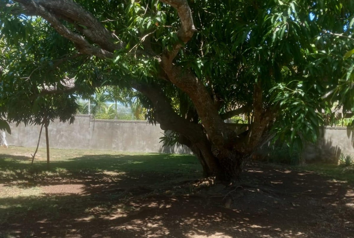 Eighth image of 93 Edinburgh Avenue, Coral g in Montego Bay, St. James, Jamaica - property is For Sale