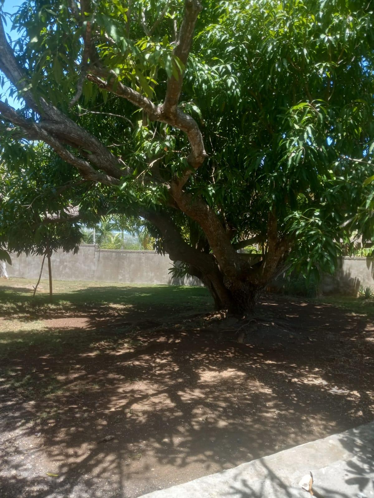 Eighth image of 93 Edinburgh Avenue, Coral g in Montego Bay, St. James, Jamaica - property is For Sale