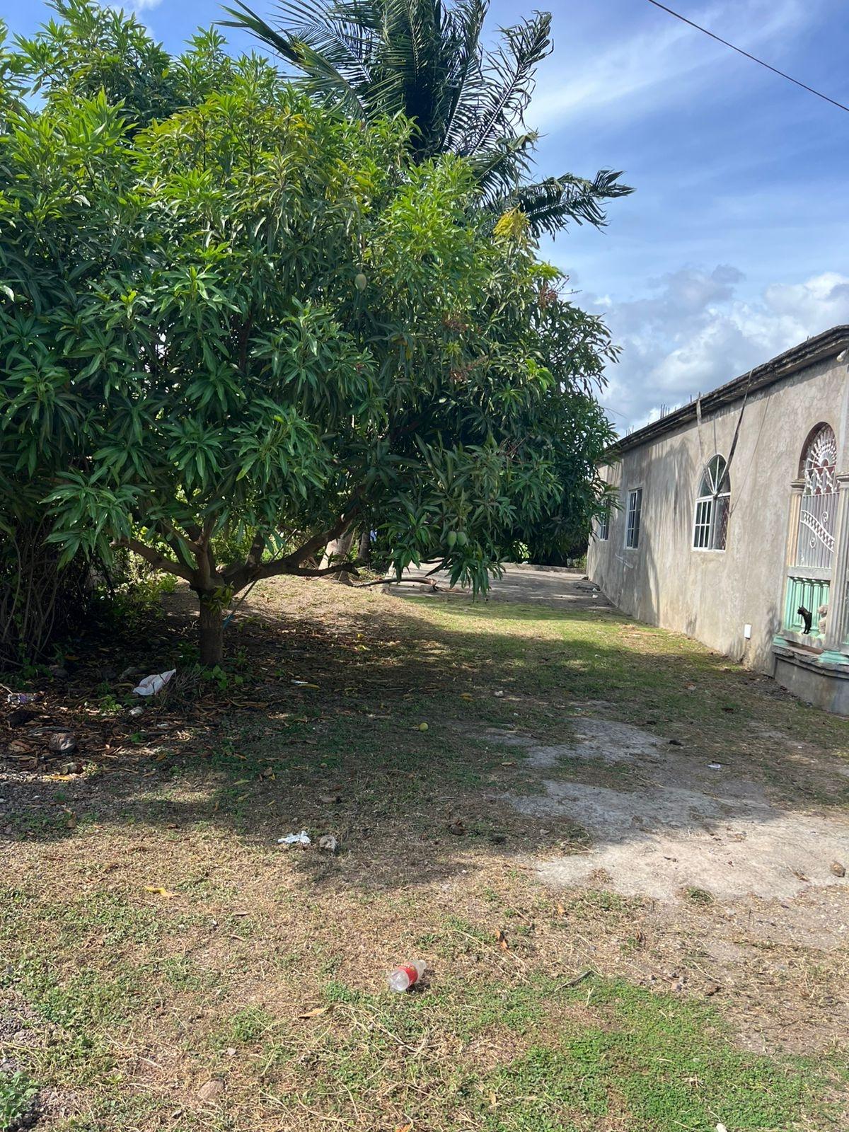 Spacious-House-for-Sale-in-Clarendon-Jamaica-–-9-Mcgilchrist-Decoy-Road Third image of 9 Mcgilchrist, Decoy Road in TOLLGATE, Clarendon, Jamaica - property is For Sale