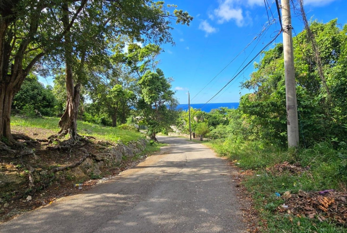 Ninth image of Fernandez Gardens, Merrak in Boscobel, St. Mary, Jamaica - property is For Sale