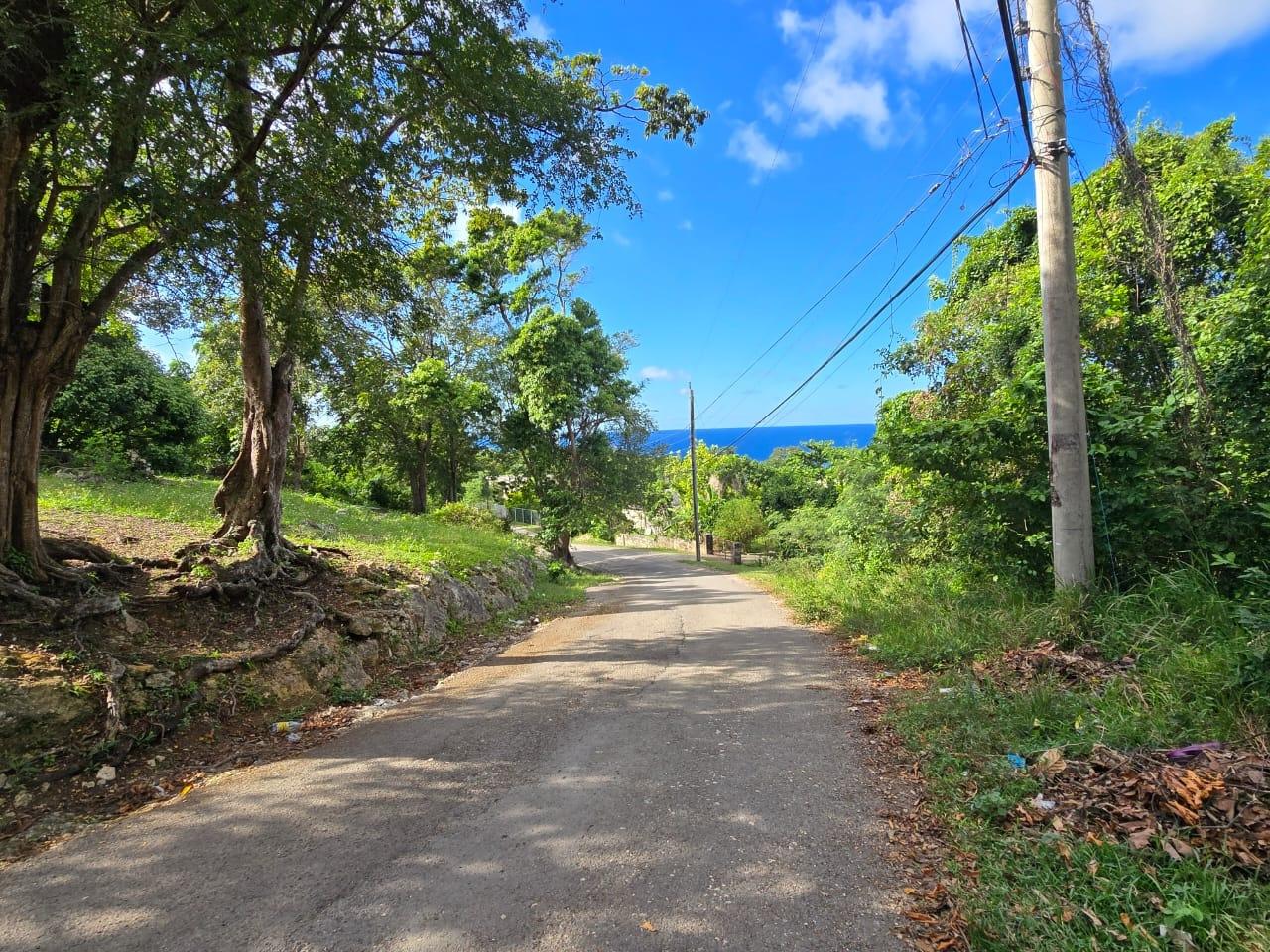 Ninth image of Fernandez Gardens, Merrak in Boscobel, St. Mary, Jamaica - property is For Sale