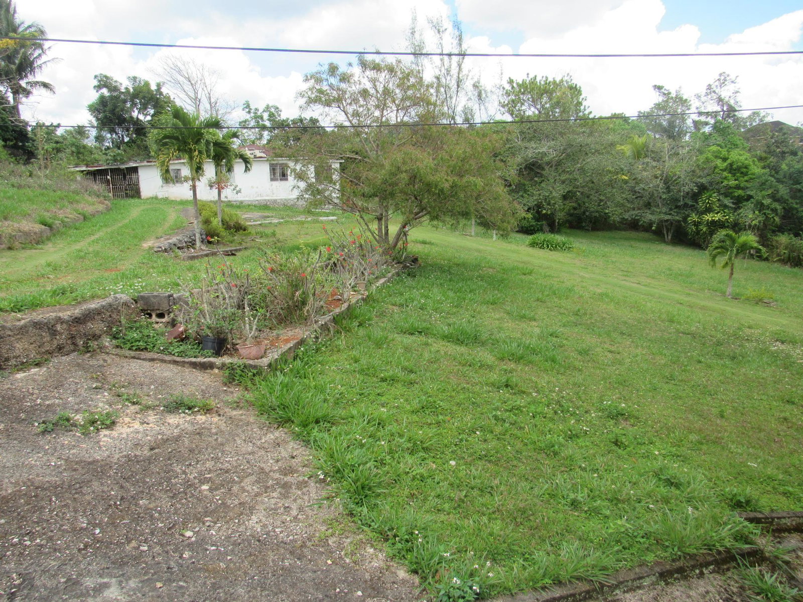 Fifteenth image of Part of Hatfield, Manches in Hatfield, Manchester, Jamaica - property is For Sale