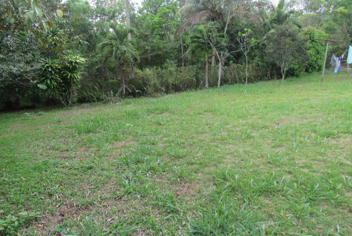 Seventeenth image of Part of Hatfield, Manches in Hatfield, Manchester, Jamaica - property is For Sale