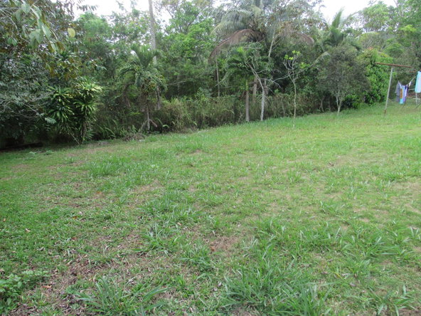 Seventeenth image of Part of Hatfield, Manches in Hatfield, Manchester, Jamaica - property is For Sale
